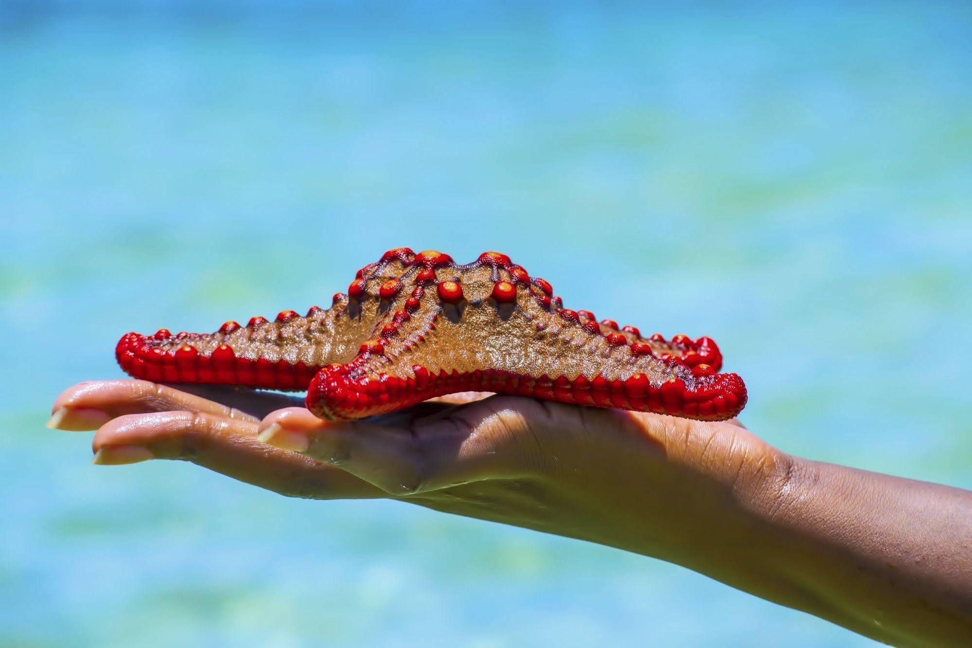 Mombasa Beach Hotel Bagian luar foto